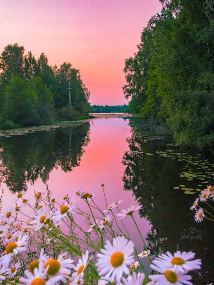 Галерея проекта 4